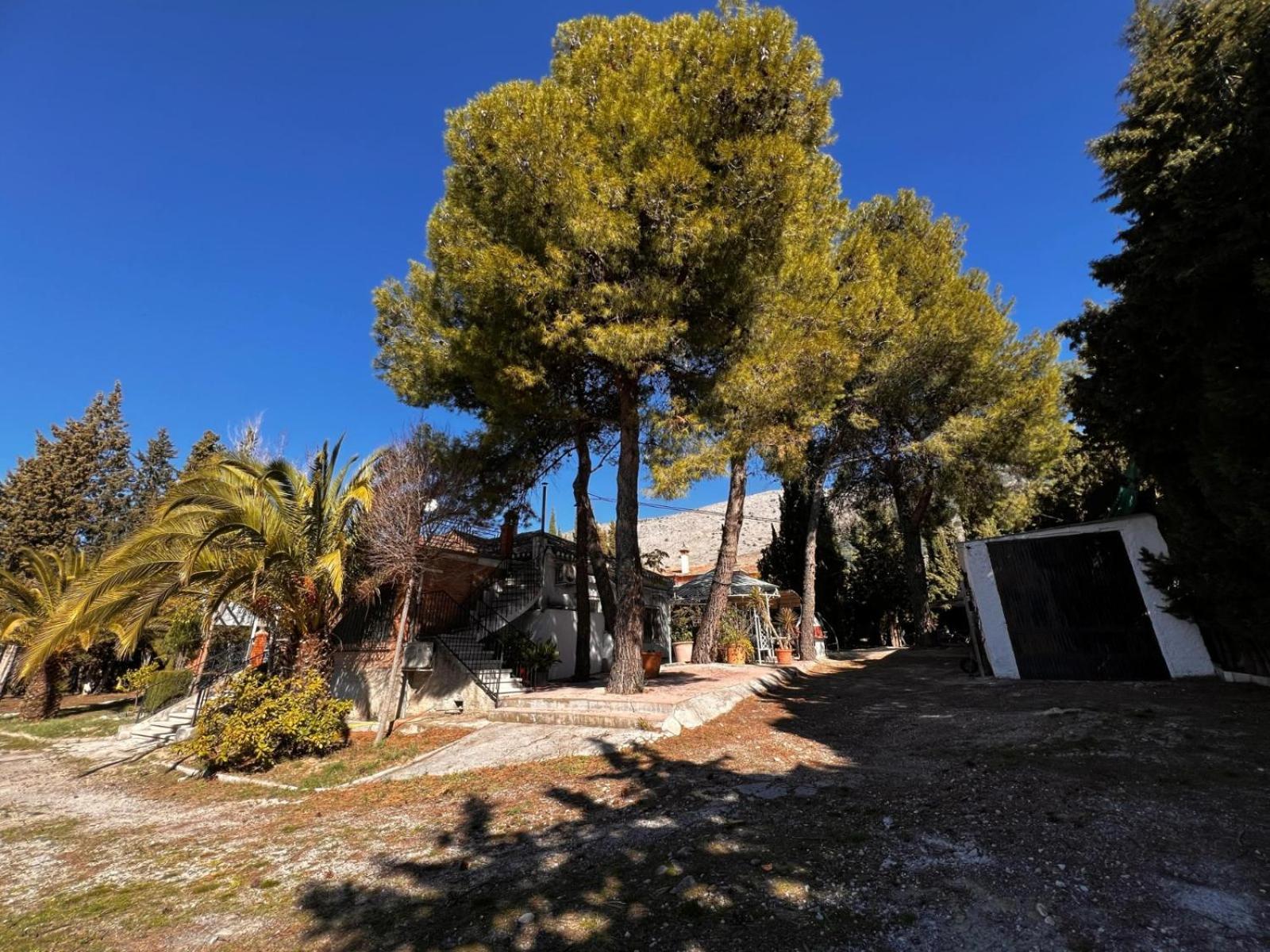 Villa Lazaro Alfacar Dış mekan fotoğraf